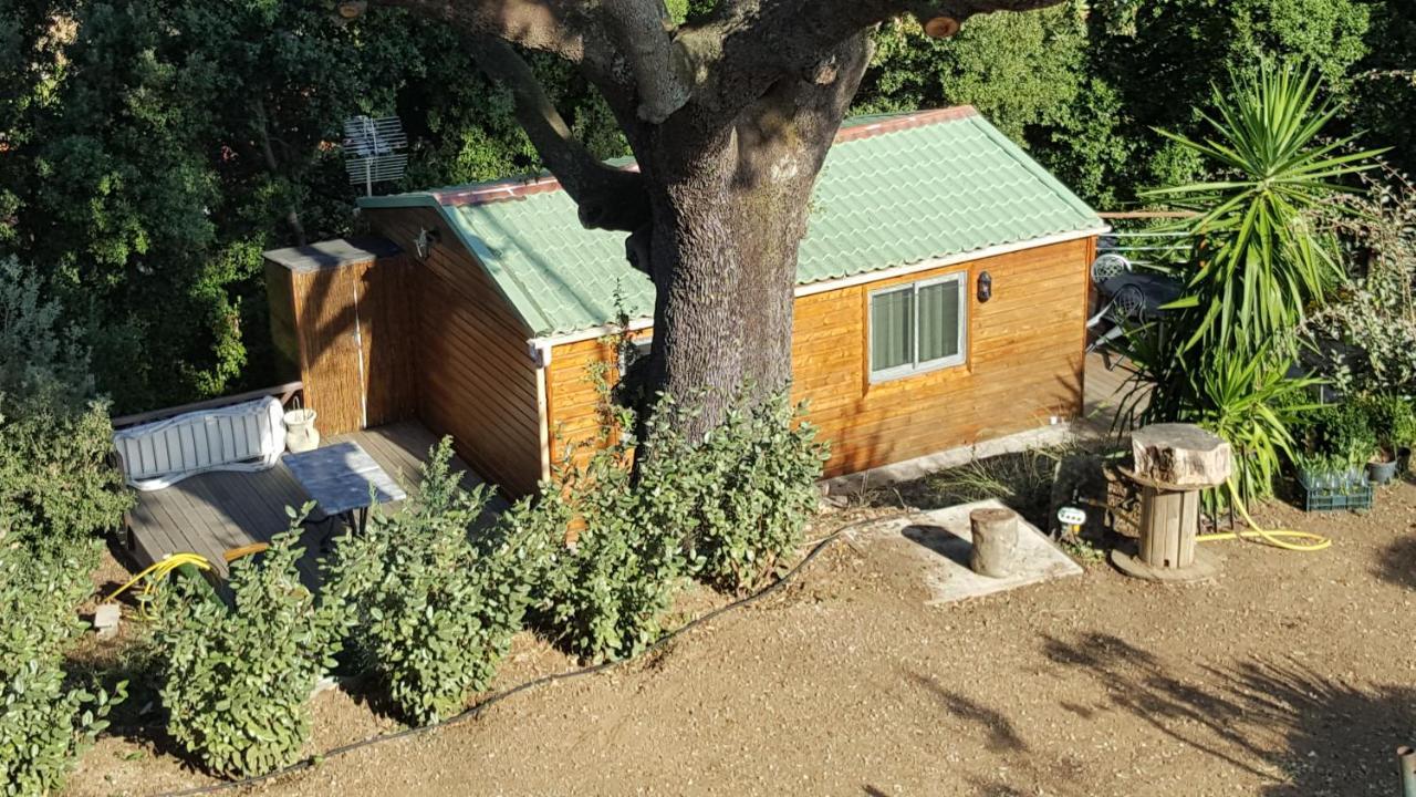 Le Petit Chalet Porticcio  Exterior photo